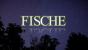 Fische ->