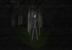 Schaurig geht es weiter, denn im Indie-Hit <strong>Slender </strong>treffen wir auf den Slenderman. Niemand hat eine Ahnung wo er herkommt, wieso er kein Gesicht hat und ganz besonders, wieso er so scharf auf sein Papier ist.