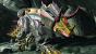 Transformers: Untergang von Cybertron - Screenshots zum kommenden Action-Titel. (3)