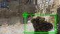 Können wir uns mit dem DSR-50 auf Quick-Scoping freuen?