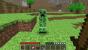 <strong>Minecraft.</strong> Die Creeper in Minecraft sollten keine Creeper werden - sondern Schweine. Der ikonische Gegner ist heute wohl kaum mehr wegzudenken. Doch Markus "Notch" Persson wollte dem Game eigentlich nur ein Schwein hinzufügen, hatte allerdings kein passendes Programm, mit dem er arbeiten konnte. Und so versuchte er, das Schwein im Game-Code zu implementieren, wo er allerdings die Zahlenwerte vertauschte. Durch diesen Fehler entstand der Creeper...und blieb.