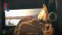 Dishonored: Die Maske des Zorns-Test: Frisches Setting, viel Schleich-Action und eine spannende Story. Avanciert der Titel zum nächsten Bethesda-Hit? (3)
