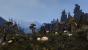 <strong>Morrowind </strong>- Der HD-Overhaul sorgt für zeitgemäßere Optik und dank der Community gibt es zahlreiche Modifikationen. Und allein das magische Morrowind-Theme im Hauptmenü ist es wert, das Spiel wieder auszukramen.