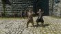 <strong>Skyrim</strong> benutzt ein sehr einfaches aber dennoch effektives Schnellreisesystem. Ihr öffnet einfach die Karte und teleportiert euch an die Stelle, zu der ihr gehen wollt.