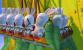 Auch wenn Rayman sich nicht mehr oft zeigt, sind wir doch zufrieden mit den Rabbids aus <strong>Rayman: Raving Rabbids</strong>. Einfach nur, weil sie so knuffig und lustig und albern und unfähig sind.