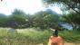 Far Cry 3
