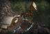 In <strong>Die Reiter von Rohan (Lotro)</strong> baut der Spieler in mühevoller Arbeit eine ganze Stadt wieder auf. Dazu stehen jeden Tag Daily-Quetsts zur Verfügung, die neue Elemente, Häuser und NPCs mittels Phasing-Technologie in Hytbold spawnen lassen. Der Aufbau dauert mindestens 44 Tage.