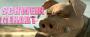 <strong>Schwein gehabt</strong>.