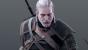 Auch Gerald befindet sich im <strong>Witcher</strong> auf seiner Quest nach Booty...und wir sind sicher, irgendein böser Zauberer muss auch gekillt werden, aber Booty ist wichtiger und mit seinem neuen Bart wird er eindeutig jede holde Maid und Kriegerin abkriegen.