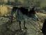 Der unersetzliche Begleiter des Lone Warriors aus <strong>Fallout 3</strong> kommt ebenfalls auf vier pelzigen Beinen daher. <strong>Dogmeat</strong> hilft uns dabei, Items zu schnappen, Gegenstände zu verstauen und Feinde zu massakrieren. Eine unvergleichlich loyale Gesellschaft, die uns niemals im Stich lässt!