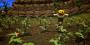 Wusstet ihr, dass Spinenn Kadaver hinterlassen, wenn man sie platt macht? Also nicht im Reallife! Da bleibt natürlich was übrig. In<strong> RuneScape</strong> lassen die bösen Riesenspinnen ihre Kadaver als lootbare Items zurück.