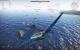 War Thunder: Profitipps zu Flugzeugen, Waffen, Taktiken und mehr!