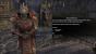 The Elder Scrolls Online: Das simple Interface ist nicht jedermanns Sache - Mods verschaffen hier Abhilfe. (1)