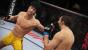 Im Kampfkäfig, der in der Fachsprache wegen seiner acht Ecken Oktagon heißt, darf in <strong>EA Sports UFC</strong> jede erdenkliche Kampfsportart angewandt werden, um den Gegner auf die Matte zu befördern. Die erste Veranstaltung des Ultimate Fighting Championship-Verbandes fand im Jahr 1993 statt und erfreut sich seit da an vor allem in den USA stets wachsender Beliebtheit. Seit dem Jahr 2013 treten auch Frauen gegeneinander an und messen ihre kämpferischen Fähigkeiten.