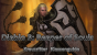 Diablo 3: Reaper of Souls - Tipps und Tricks, Kreuzritter-Guide