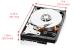 WD Green Abemssungen
