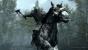 Man kann wohl mit Sicherheit behaupten dass jeder Spieler von <strong>The Elder Scrolls V: Skyrim</strong> mindestens einmal den Song "Sons of Skyrim" mitgesungen und sich dabei selbst als Dovahkiin gesehen hat. Außenstehende können das aber meist eher weniger nachvollziehen und werfen spätestens beim Ausruf "Fus Ro Dah" mit verwirrten Blicken um sich.