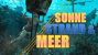<strong>Sonne, Strand und Meer</strong>: Mit diesen Games begrüßen wir den Sommer.