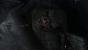 <strong>Metro 2033</strong> - Nach dem Atomkrieg, der die Menschen in die Moskauer Metro zwang, beherrschen monströse Mutanten die Oberfläche.