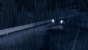 Wie der Titel schon besagt beginnt <strong>Deadly Premonition</strong> mit einer tödlichen Vorahnung. Malerisch und dramatisch wird der Anfang gestaltet, indem man gleich noch ein ordentliches Gewitter hintenan schiebt.