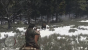 In <strong>Red Dead Redemption</strong> knabbern uns die wilden Tiere gerne einmal an. Aber wir können den Spieß auch umdrehen. Dann wollen wir mal sehen, welcher Bär zuletzt brüllt! Vielen Dank an LOXX-TT für diesen Vorschlag!