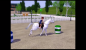 In <strong>Sims 3</strong> begeistern wir uns mit der Möglichkeit, Pferde zu reiten. Das geht natürlich auch Western-Style und da darf das Barrel Racing nicht fehlen!