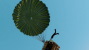 Das Leben des Nathan Drake ist keine einfache Sache. Immer wieder gerät er in die brenzligsten Situationen wie es selbst Indiana Jones nicht besser könnte. Da wundert es uns auch nicht mehr, dass wir in <strong>Uncharted 3</strong> aus einem Frachtflugzeug fallen und die Leine des Fallschirms an einer riesigen Frachtkiste ziehen müssen, um nicht in den sicheren Tod zu stürzen.