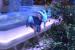 World of Warcraft: Argi hat 1,9 Millionen US-Dollar für den Kampf gegen Ebola eingebracht. (4)