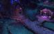 World of Warcraft: Neue Optionen für Farbenblinde. (5)