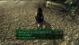 Wie schon in den beiden ersten Teilen stoßt ihr auch im dritten Teil der <strong>Fallout-Reihe</strong> auf einen tierischen Begleiter. Auf dem Schrottplatz im Ödland trefft ihr den Vierbeiner <strong>Dogmeat</strong>. Der Hund ist, vor allem zu Beginn des Spiels, eine große Hilfe im Kampf. Außerdem kann er Waffen, Munition, Nahrung oder Medikamente für euch suchen. Dogmeat könnt ihr außerdem selbst dann als Begleiter wählen, wenn ihr schon einen anderen Begleiter habt.