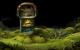 Samorost 3 (Amanita Design)
