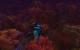 Die Enthüllung des neuen WoW-Addons können Fans am Donnerstag, dem 6. August live via Stream mitverfolgen. (6)