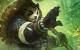 <strong>WoW: DPS-Ranking - diese Klasse macht den meisten Schaden im Mythic-Raid</strong>