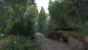 Kingdom Come: Deliverance, Beta - Unterwegs beim Waldspaziergang