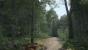 Kingdom Come: Deliverance, Beta - Unterwegs beim Waldspaziergang