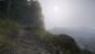 Kingdom Come: Deliverance, Beta - Unterwegs beim Wald-, Feld- und Wiesenspaziergang