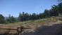 Kingdom Come: Deliverance, Beta - Eine Rodungsfläche nördlich von Burg Talmberg.