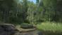 Kingdom Come: Deliverance, Beta - Unterwegs beim Waldspaziergang