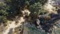 Divinity: Original Sin 2 Vorschau - RPG-Leckerbissen aus Belgien.