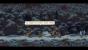 Owlboy im Test