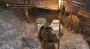 For Honor: Zu Beobachtendes & Zerbrechliches - alle Collectibles (1)