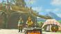 Zelda: Breath of the Wild:Kochen, Medizin, Schreine, Reisen - Grundlagen-Tipps (3)