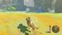 Zelda: Breath of the Wild:Kochen, Medizin, Schreine, Reisen - Grundlagen-Tipps (9)