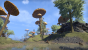 TESO: Morrowind - Riesenpilze trifft man entlang der Bitterküste von Vvardenfell.