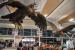 Am Flughafen von Wellington begrüßt uns Gandalf zusammen mit zwei Mitgliedern der Eagles. Welcome to the Hotel New Zealand.