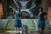 Shape of Water - Das Flüstern des Wassers - 15. Februar&nbsp;