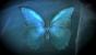 Der Schmetterlingseffekt wird in Until Dawn anhand einer anschaulichen Grafik demonstriert.