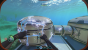 Bei uns gibt's den ausführlichen Guide zum Basisbau in Subnautica! Wir haben euch die wichtigsten Module und wie ihr sie bauen könnt erklärt. (5)