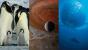 Die Reise der Pinguine / Voyage of Time / Deep Blue
