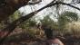 Hunt: Showdown in der Early-Access-Vorschau